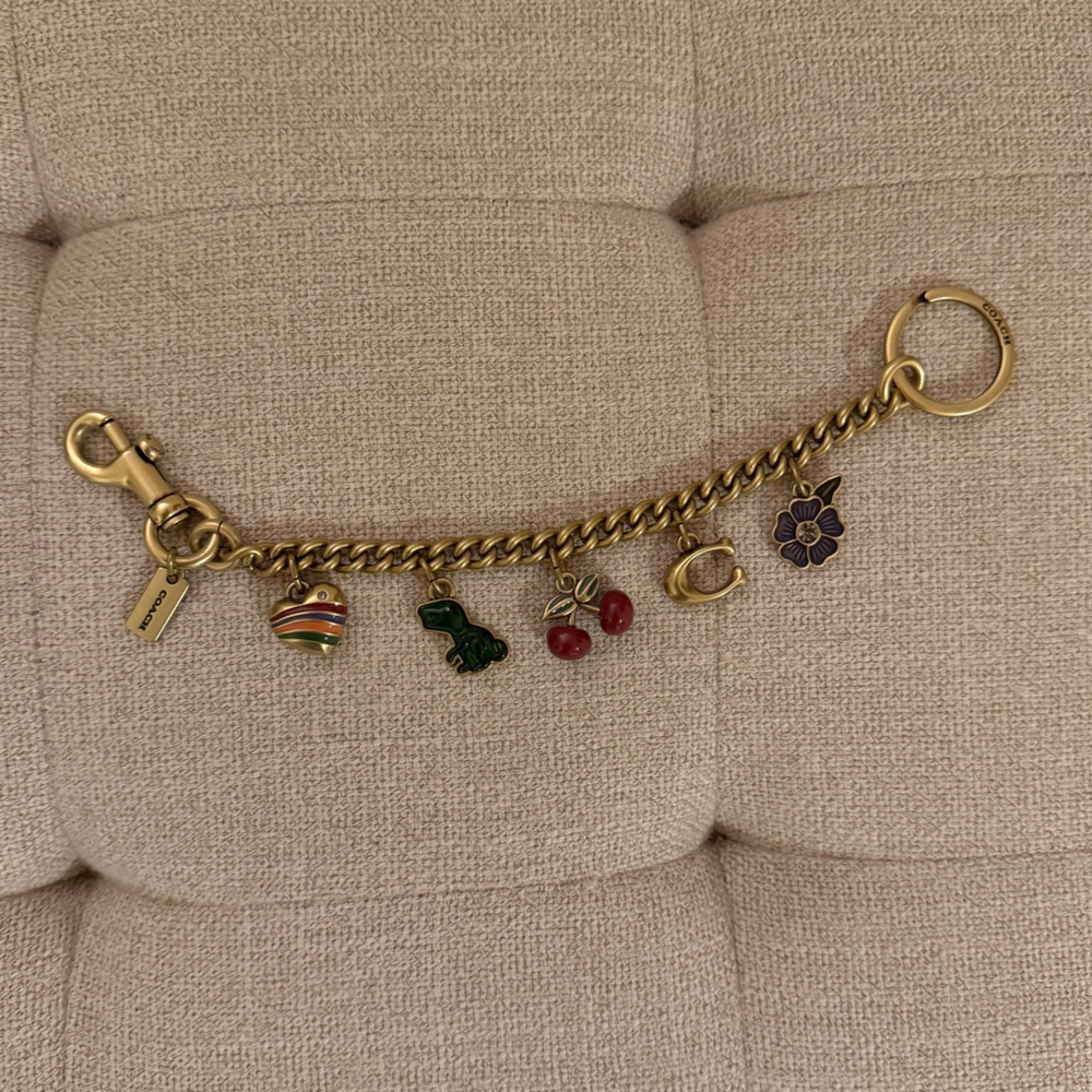 Coach Bag Chain